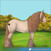 Horse Color:Gold Champagne Dun 