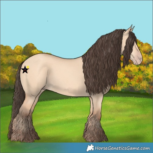 Horse Color:Amber Champagne Dun 
