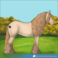 Horse Color:Gold Champagne Dun 
