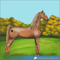 Horse Color:Chestnut 