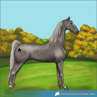 Horse Color:Silver Black 