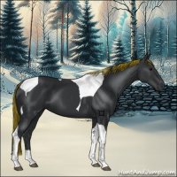 Horse Color:Painted Black Tobiano 