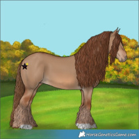 Horse Color:Red Dun 