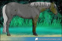 Horse Color:ERROR: UNKNOWN ANOMALY