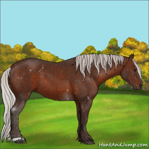Horse Color:Silver Brown 