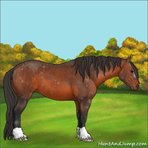 Horse Color:Brown 
