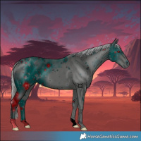 Horse Color:ERROR: UNKNOWN ANOMALY