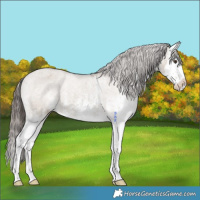 Horse Color:White Spotted Liver Red Dun Splash Varnish 