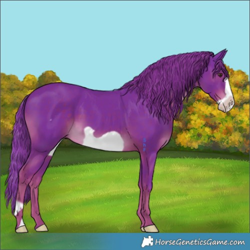 Horse Color:Watercolor Liver Chestnut Frame 