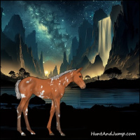 Horse Color:White Spotted Silver Bay 