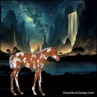 Horse Color:White Spotted Silver Bay 