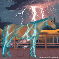 Horse Color:Thunderstruck Bay 