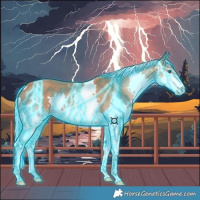 Horse Color:Thunderstruck White Spotted Silver Bay Splash 