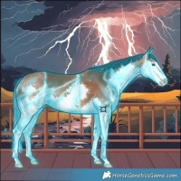 Horse Color:Thunderstruck Bay Splash 
