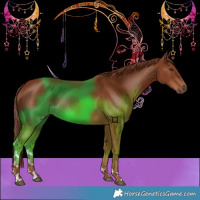 Horse Color:Chestnut Tobiano