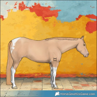Horse Color:Gold Champagne Tobiano