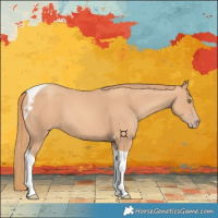 Horse Color:Gold Champagne Tobiano