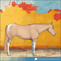 Horse Color:Gold Champagne Tobiano 