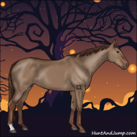 Horse Color:Liver Red Dun