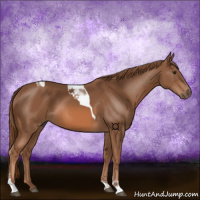 Horse Color:Chestnut Tobiano 