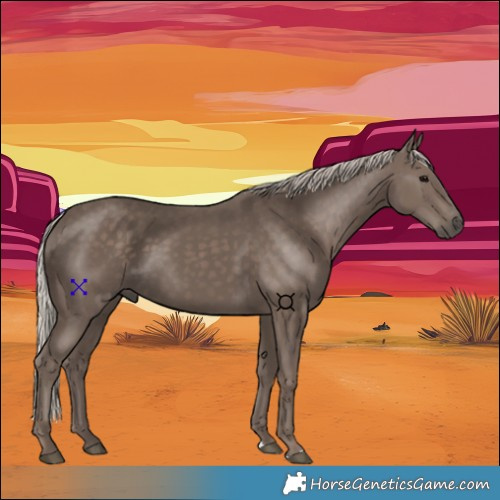 Horse Color:Silver Black