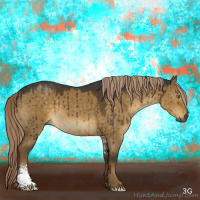 Horse Color:Gray Chocolate Palomino Dun Sabino Brindle 