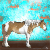 Horse Color:Gray Chocolate Palomino Dun Sabino Tobiano 