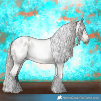 Horse Color:Gray Silver Smoky Grullo Roan Tobiano Appaloosa 