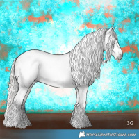 Horse Color:Gray Silver Smoky Grullo Roan Tobiano Blanket 