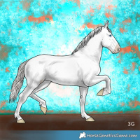 Horse Color:Silver Buckskin Dun Sabino Splash Varnish 
