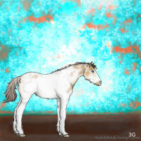Horse Color:White Spotted Buckskin Dun Splash Tobiano Frame Appaloosa 