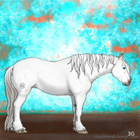 Horse Color:Gray Chocolate Palomino Dun Sabino Splash Tobiano Frame 