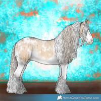 Horse Color:White Spotted Chocolate Palomino Dun Sabino Splash Appaloosa Brindle 