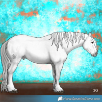 Horse Color:Gray Smoky Grullo Roan Sabino Blanket