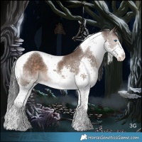 Horse Color:Brown Dun Splash Tobiano Brindle 