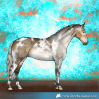 Horse Color:Gray Silver Buckskin Dun Mushroom Tobiano 