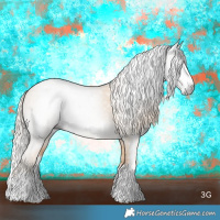 Horse Color:Gray Cremello Dun Sabino Splash 