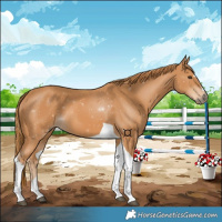 Horse Color:Chestnut Tobiano