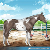 Horse Color:Silver Black Tobiano