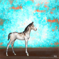 Horse Color:White Spotted Brown Dun 