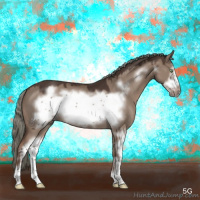 Horse Color:Liver Red Dun Mushroom Sabino Frame 