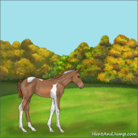 Horse Color:Chestnut Tobiano