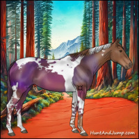 Horse Color:Chestnut Tobiano