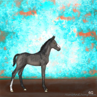 Horse Color:Grullo Mushroom Brindle 