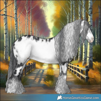 Horse Color:Brown Chinchilla Frame Appaloosa