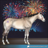Horse Color:Bay Onyx 