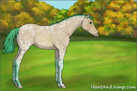 Horse Color:Watercolor Bay Ice Roan 