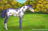 Horse Color:Watercolor Brown Roan Frame