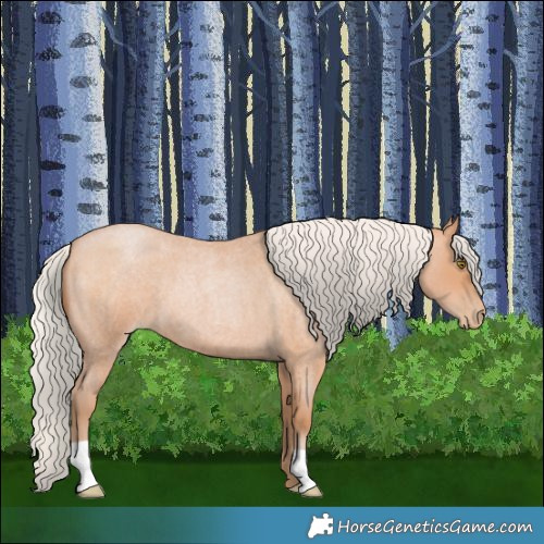 Horse Color:Silver Bay Roan Pearl