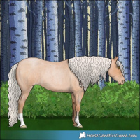 Horse Color:Silver Bay Roan Pearl 